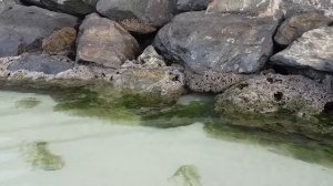 Аджман ОАЭ,Кемпински 5☆,пляж