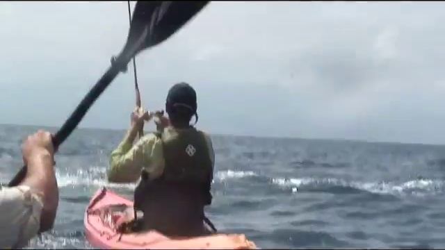 Kayaker Catches 300lb Blue Marlin смотреть онлайн