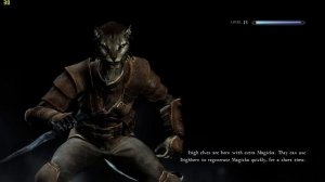 Skyrim Realvision ENB 90+mods