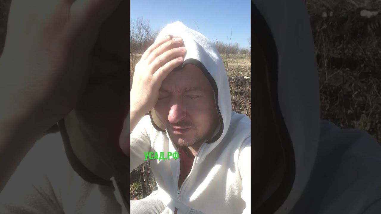 В ДЕРЕВНЕ РАЙ смотреть онлайн