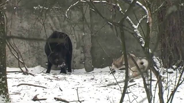 «ТРОИЦКОЕ» г ТРОИЦК ЛУГАНСКАЯ ОБЛАСТЬ смотреть онлайн