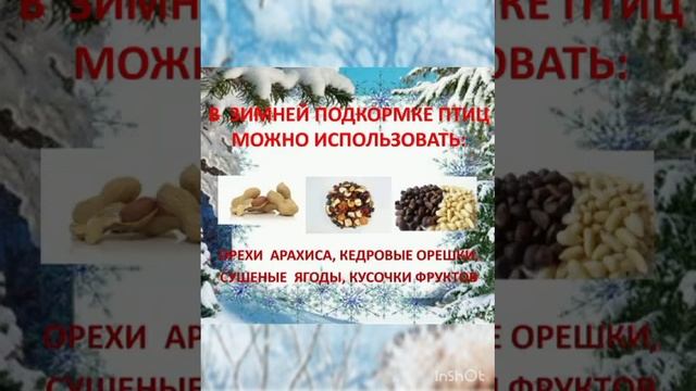 Покормим птиц зимой смотреть онлайн