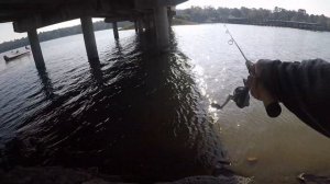 UNDER BRIDGE FISHING GULP ALIVE MINNOW & CRICKET