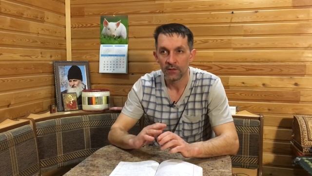 ДЕШЕВЫЙ САРАЙ ДЛЯ СВИНЕЙ смотреть онлайн