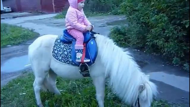 Пони лошадь для детей, чтобы кормить и ездить Pony horse for kids to feed and ride смотреть онлайн