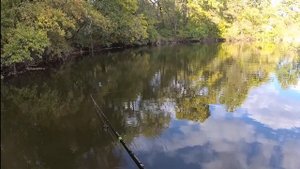 Щука на джеркбейт или крупный силикон осенью, обзор силикона от Patriot Baits