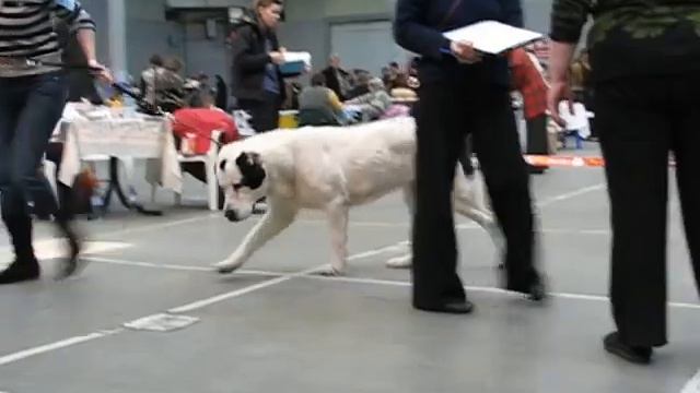 Шахрияр Кара Гез смотреть онлайн