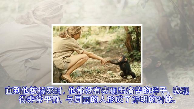 13歲男孩海邊發現「漂流木」當寶貝被爸爸嘲笑，後來拿去鑑定…專家看後大吃一驚，原來這並不是木頭！ смотреть онлайн