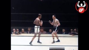 Вилли Пеп - отец современного бокса. Вспоминаем легенду.