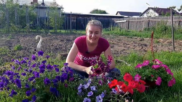 Как сохранить ПЕТУНИЮ зимой, вегетативная петуния. Опыт от Ани