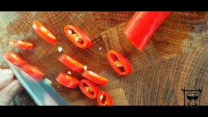 Мясо лося с картофелем и шампиньонами на садже