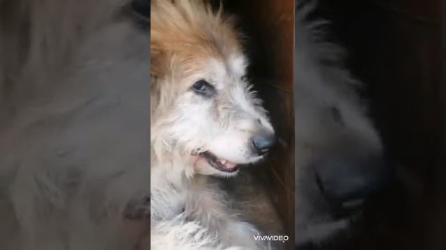 Федя Фелинин отдыхает на заслуженном отдыхе смотреть онлайн