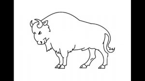 Как нарисовать Бизона. Раскраска Бизон для детей