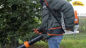 STIHL BR 800 C-E / Обзор воздуходувки бензиновой ранцевой / Купи на Дачу