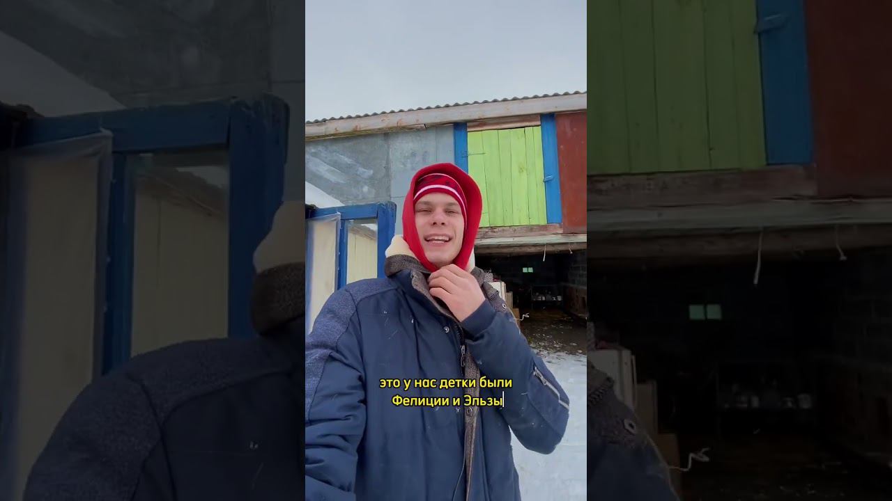 Зимние будни в деревне ❄️ смотреть онлайн