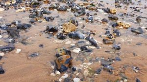 Камни, вода, песок   stones, water, sand