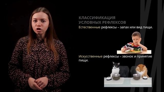 Условные рефлексы | Биология