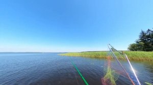 Щука Август Финский Залив