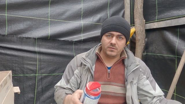 Средство от улиток и слизняков. Чем бороться со слизняками на клубнике? смотреть онлайн