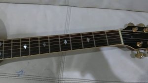 Washburn EA36