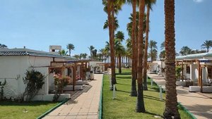 Обзор отеля Египет | Seti Sharm Palm Beach Resort