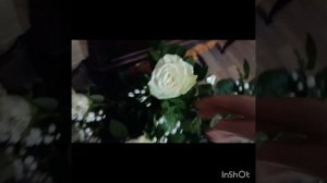 Сборка букета 19 белых Роз с Гипсофилой. Супер красиво)