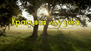 Красивая Музыка на фоне природы