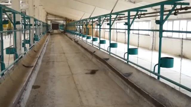 ООО "Минское" молочная продукция смотреть онлайн