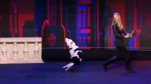 Крутое выступление с собакой на шоу талантов