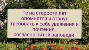 Разрушители пятой заповеди (почитание родителей)