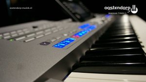 Yamaha Tyros 5 | Audio Styles