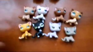 Посылка LPS.Мега распаковка кошек стоячек