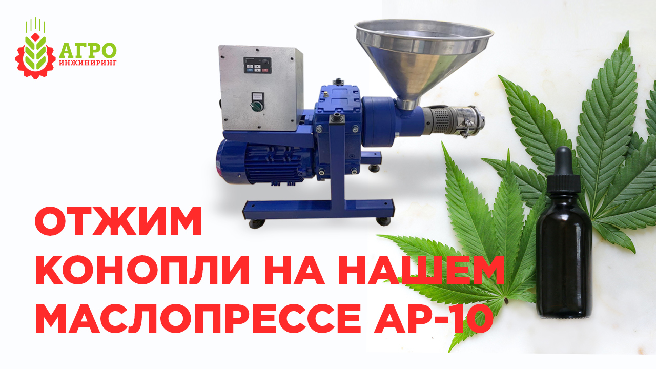Наш новый шнековый маслопресс AP-10. Отжимаем конопляное масло.