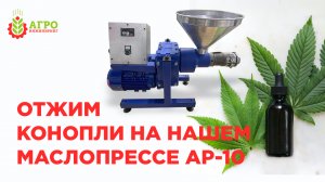 Наш новый шнековый маслопресс AP-10. Отжимаем конопляное масло.