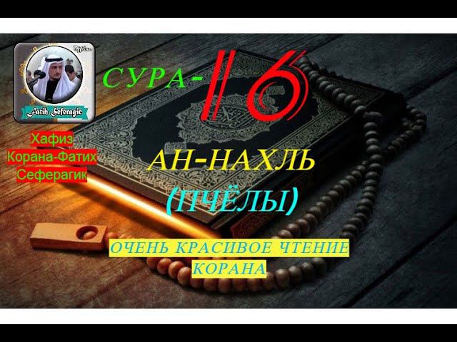 Сура-16 Ан-Нахль (Пчёлы) Очень красивое чтение Корана/ #призывмусульман