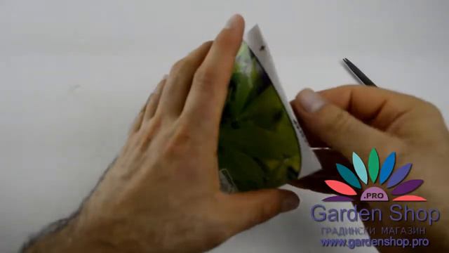 Зеленый приправы и фаршевые фрикадельки - Любисток Levisticum officinale смотреть онлайн