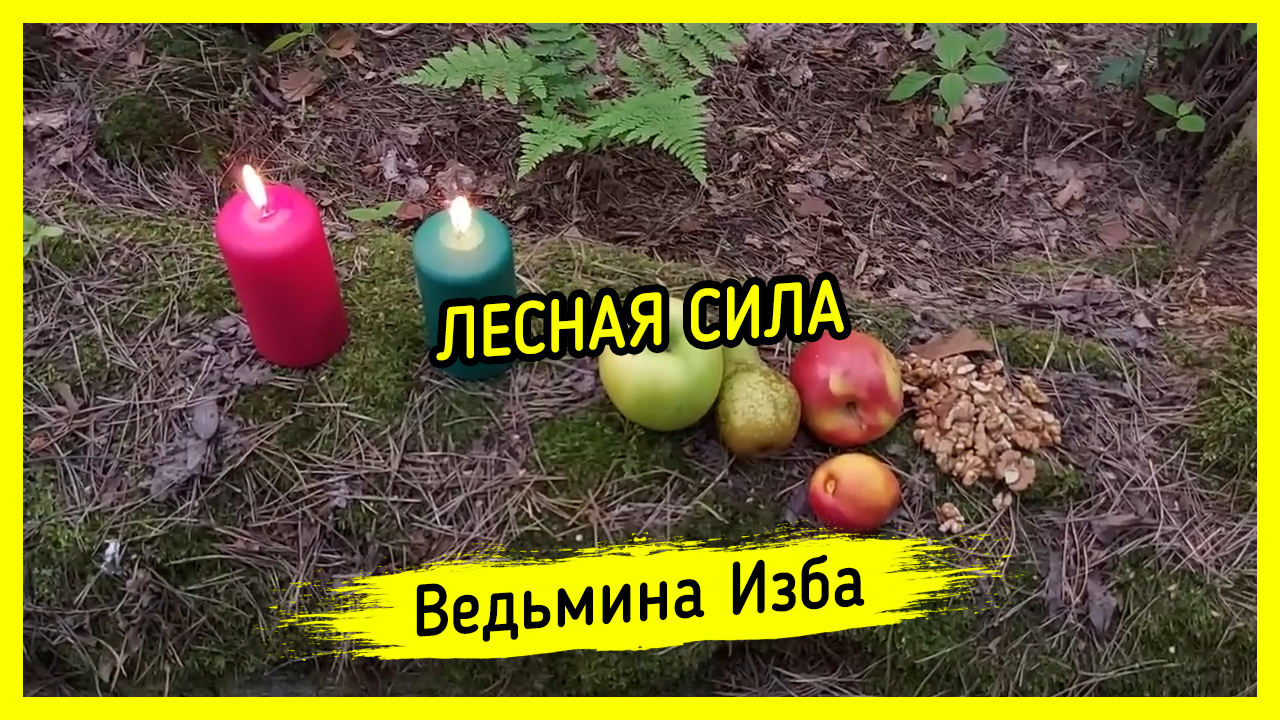 ЛЕСНАЯ СИЛА. ДЛЯ ВСЕХ. ВЕДЬМИНА ИЗБА ▶️ МАГИЯ