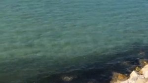 «Рыбалка» в Эмиратах (Рас-аль-Хайма)