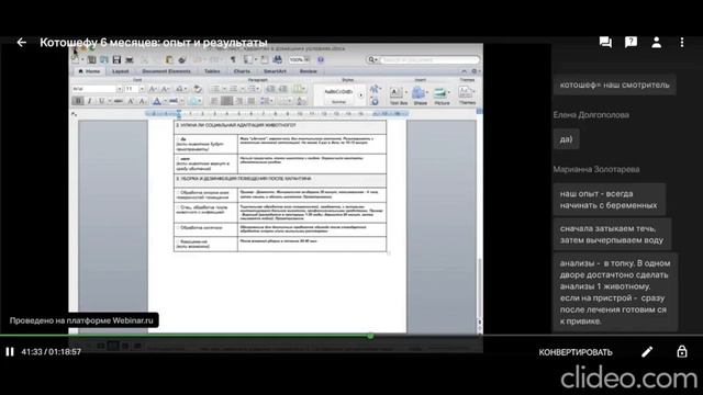 Котошеф - результаты проекта за 6 месяцев смотреть онлайн
