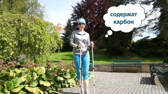 Thebest24. Секреты скандинавской ходьбы. Выбор правильных палок.