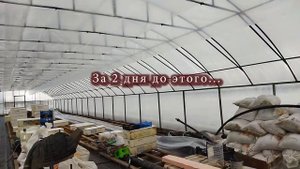 2-ой слой пленки в теплице. Как самому смонтировать в фермерской теплице.