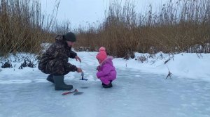 рыбалка на жерлицы . в поисках рыбных мест