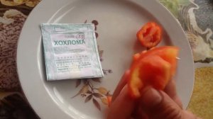 Томат "ХОХЛОМА". Дегустация