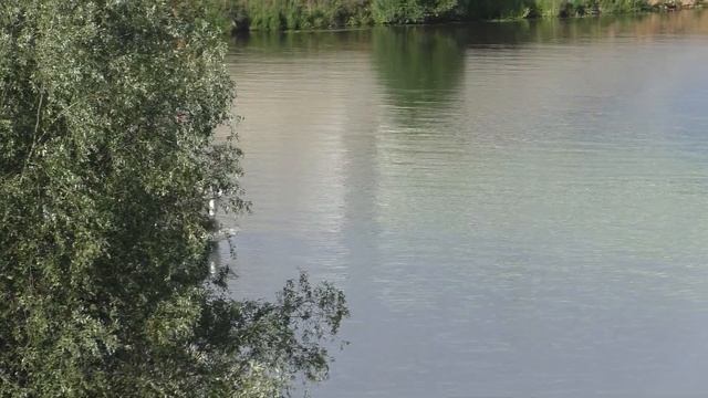 Катер Мечта