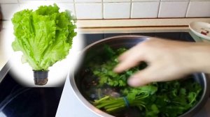 Совет дня: Как освежить увядшую зелень