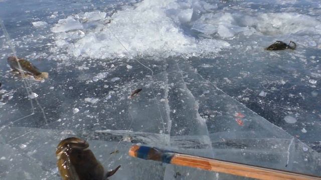 ЗИМНЯЯ РЫБАЛКА. Подледный лов ротанов смотреть онлайн