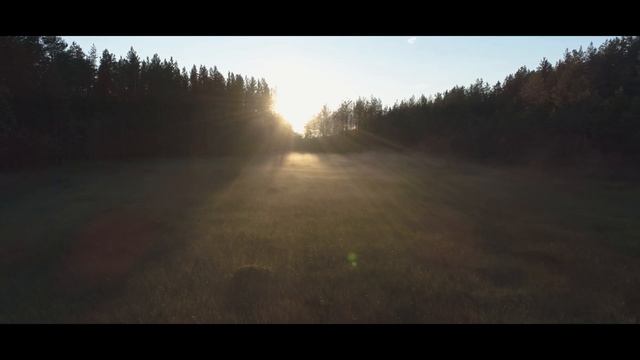 Ладожское озеро, Видлица