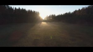 Ладожское озеро, Видлица