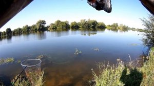 Ловля леща на фидер в августе 2018, нижняя Москва река.