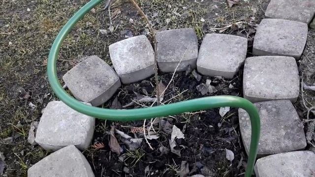 Обзор сада/13.04.2019/Гейхеры/Хвойные/Каменистый садик/Рододендрон